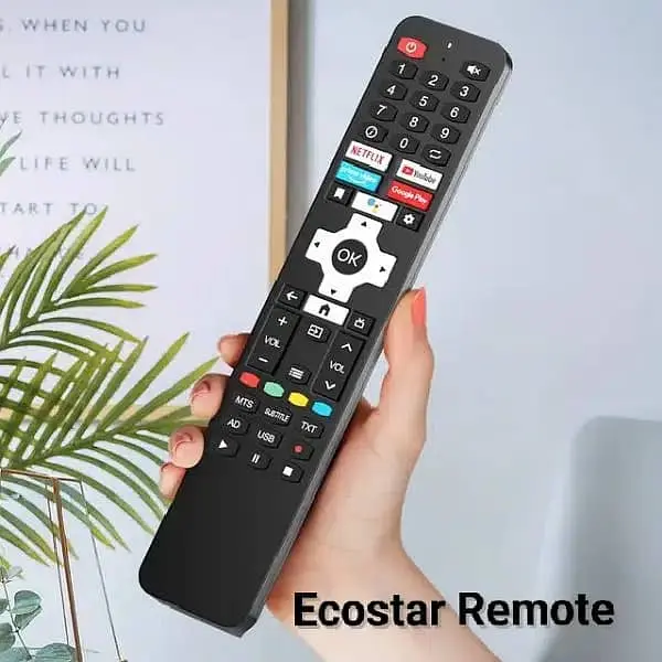 Ecostar remote controller for Smart tv in pakistan